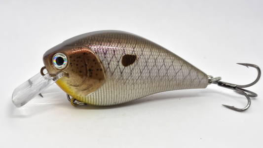Square Bill 70mm Crankbait - Purple Shift Shad