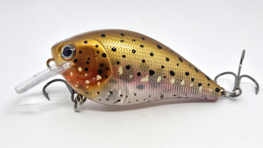Square Bill 70mm Crankbait - Rainbow Trout