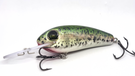 Riftspawn 90mm diver - Green back Rainbow