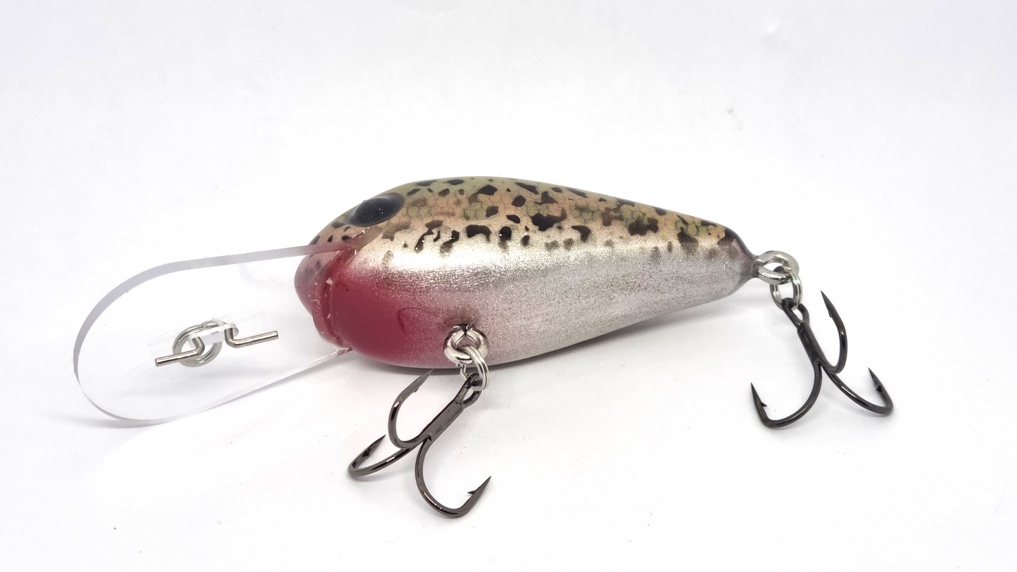 Arbour 65mm diver - Gold back Rainbow