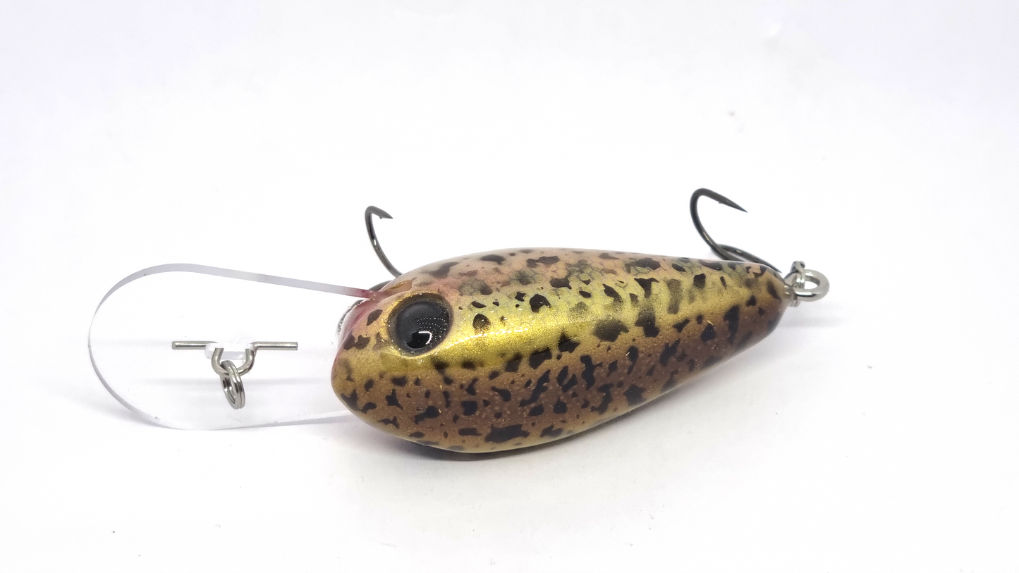 Arbour 65mm diver - Gold back Rainbow