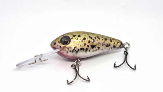 Arbour 65mm diver - Gold back Rainbow